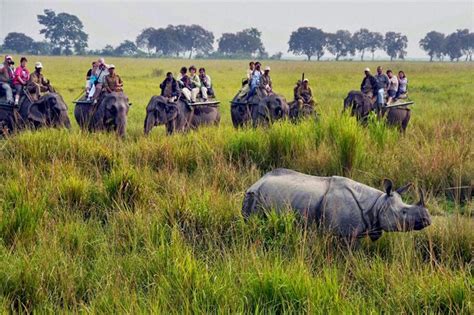 Jaldapara National Park